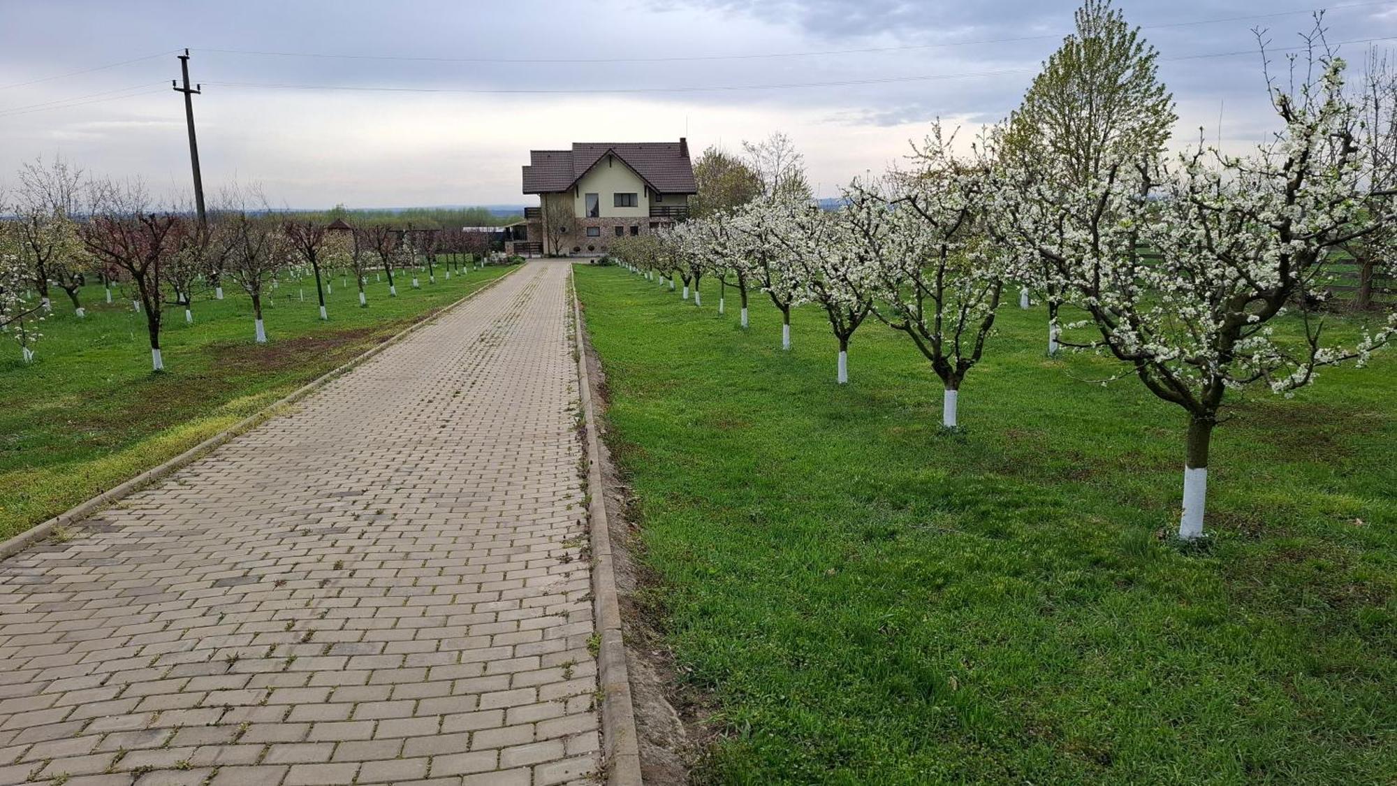 Hotel Dor De Casa Doljesti Exteriér fotografie